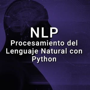 Curso Natural Language Processing: