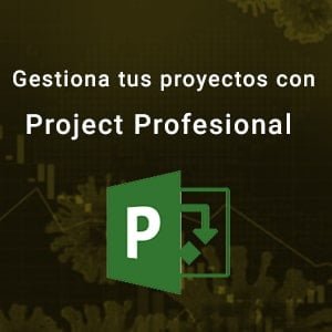 Gestiona tus proyectos con Microsoft Project Profesional